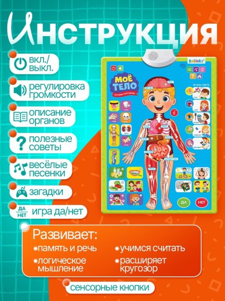 Фото товара Обучающий плакат «Изучаем анатомию: Моё тело» 