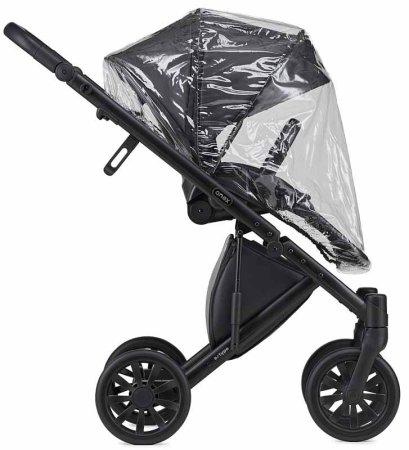 Anex Коляска 2 в 1 e/type / цвет Swan (черный)