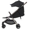 Anex Коляска iQ Premium 2 в 1 / цвет Smoky (черный)