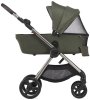 Anex Коляска 2 в 1 iQ Premium / цвет Richi (зеленый)