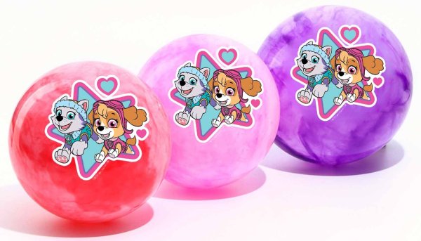 Paw Patrol Мяч "Скай и Эверест"