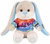 Maxitoys Мягкая игрушка Jack&Lin, Зайчик Жак В ярком свитшоте, 20 см
