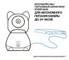 Ramicom Видеоняня VRC300CTR, с креплением