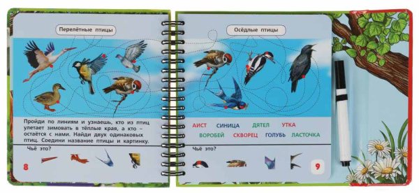 Умка Блокнот с маркером «50 игр в дорогу. Изучаем мир животных»