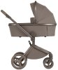Anex Коляска 2 в 1 Flo / цвет Yuki (бежевый)
