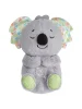Развивающая игрушка Fisher-Price GRT59