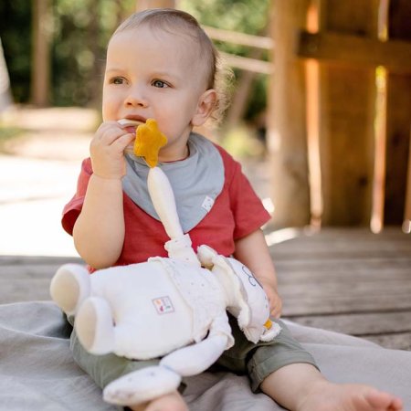 Fehn Развивающая игрушка Лев