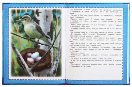Умка Книга «В. Бианки. Лесные сказки» из серии «Любимые книжки»  – внешний вид и детали