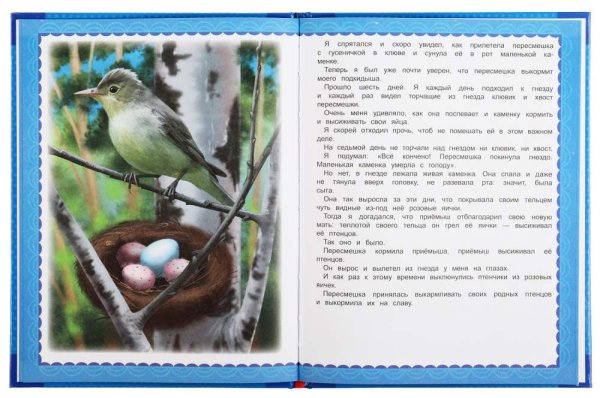 Фото товара Умка Книга «В. Бианки. Лесные сказки» из серии «Любимые книжки» 