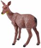 ABtoys Игровой набор "Юный натуралист"