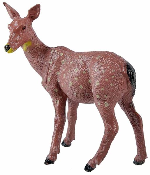 ABtoys Игровой набор "Юный натуралист"