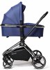 Labala Коляска Raiz 2 в 1 / цвет Blue (синий)
