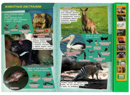 Умка Озвученная книга «100 голосов животных»  – внешний вид и детали
