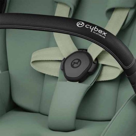 Cybex Коляска 2 в 1 Priam IV Rosegold / цвет Leaf Green (зеленый), рама розовое золото