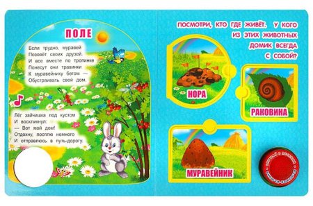 Умка Музыкальная книга с окошками «М. Дружинина. Чьи домишки?»  – внешний вид и детали
