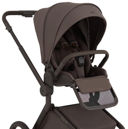 Детская коляска ANEX Flo 2in1  ((fl-07c) Browny)