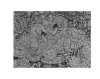 Скретчинг гравюра 18*24 см лебеди МУЛЬТИ АРТ 382055 
