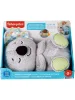 Развивающая игрушка Fisher-Price GRT59