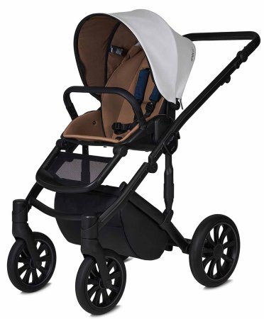 Anex Коляска 2 в 1 m/type / цвет noble (синий-белый)