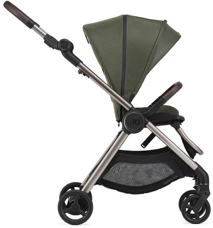 Anex Коляска 2 в 1 iQ Premium / цвет Richi (темно-зеленый)
