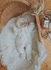 НаследникЪ Выжанова Комбинезон велюровый с бантиками / рост 62 см / с 1 месяца
