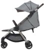 Anex Коляска 2 в 1 iQ Premium new / цвет Pure (серый)