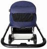Labala Коляска Raiz 2 в 1 / цвет Blue (синий)