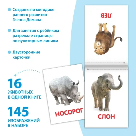 Набор книжек "Обучающие карточки на скрепке" 8 шт  20 стр. 3015934