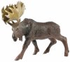 ABtoys Игровой набор "Юный натуралист"