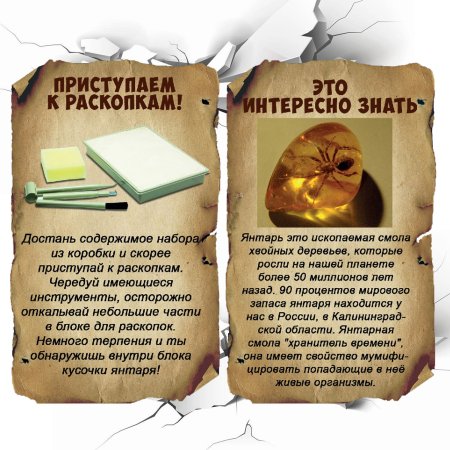 Bondibon Набор для раскопок Найди сокровища! Янтарь Исторические раскопки Науки с Буки