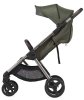 Anex Коляска 2 в 1 iQ Premium / цвет Richi (зеленый)