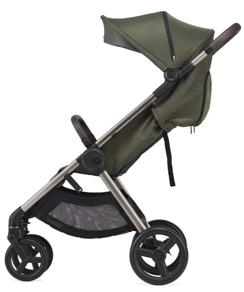Anex Коляска 2 в 1 iQ Premium / цвет Richi (зеленый)