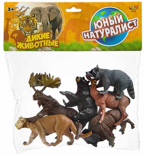 ABtoys Игровой набор "Юный натуралист"