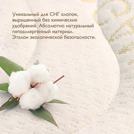 Матрас в детскую кроватку Organic Fibre 1190х600х120 мм