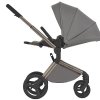 Anex Коляска 2 в 1 Flo / цвет Charm (серый)