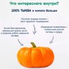 Fleur Alpine Пюре "Тыква", с 5 месяцев, 90 г