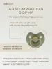 Babywell Соска-пустышка (2 шт.) латекс M (6-18 мес.)  (17084 оливковый-голубой)