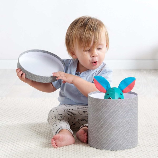 Tiny Love Развивающая игрушка "Поиграй со мной Томас"