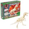 HTI Dino World Набор Проведи раскопки (Т-Рекс)